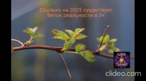 Сколько на 2025 существует Веток реальности и 3+