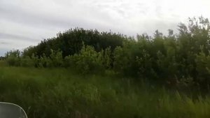мотор болотоход испытания по мели