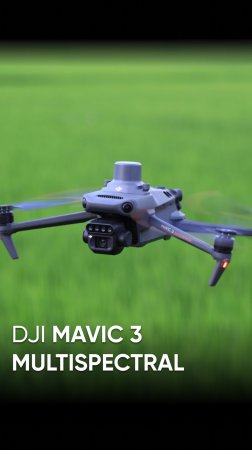 DJI Mavic 3 Multispectral - дрон, который видит здоровье растений #dji  #квадрокоптеры  #djimavic3