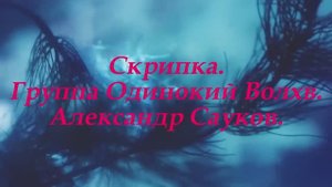 Скрипка (Премьера клипа 2025 г.)