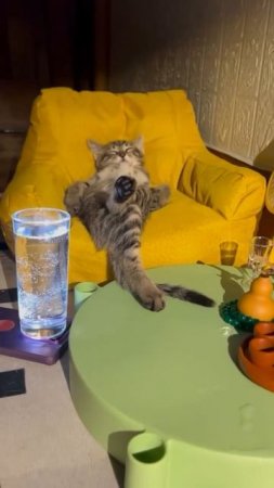 Какие планы на день?