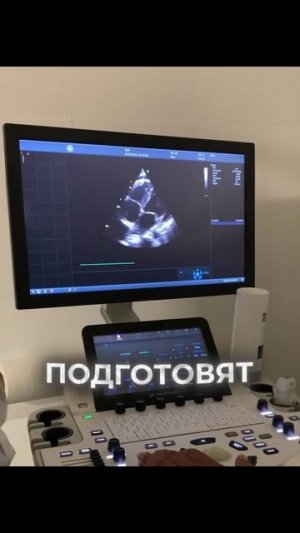 🤰 МамаГид — твои ответы за 30 секунд!
