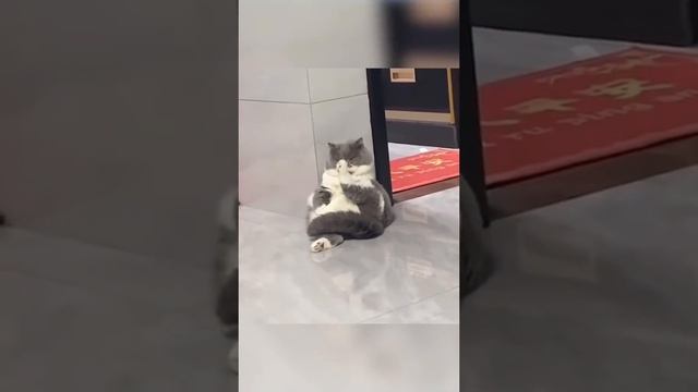 1000053680.mp4