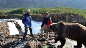 Кушать подано