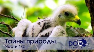 Тайны природы | Все части | Документальный фильм