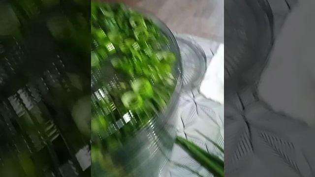 Много зелёного лука? Тогда сушим. Мне понравилось сушить в сушилке.