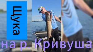 Когда раздувает на Волге - ловим щуку на р. Кривуша!