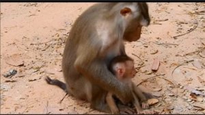 - Грубо, Либби, грубо!... (Ч. 2)   1000021035.mp4