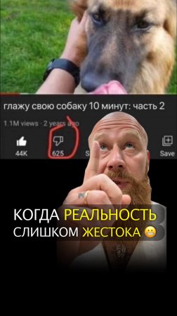 Когда реальность слишком жестока