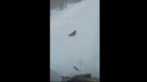 Ворон остановил грузовик СМОТРЕТЬ ВИДЕО ПРИКОЛЫ ПРИКОЛ ПРО ВОРОНА