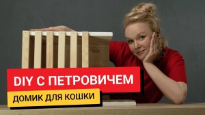 DIY / Домик для кошки