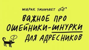 Про ошейники-шнурки для адресников