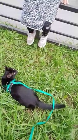 1000027912.mp4