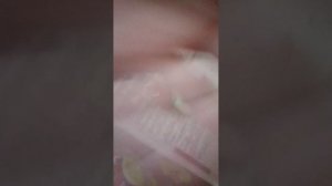 1000000628.mp4