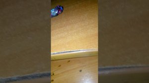 243 скибиди туалет