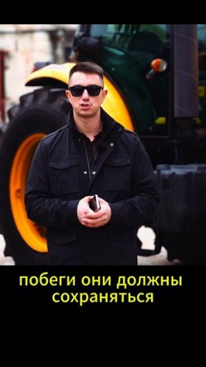 Зачем нужны фунгицидные обработки.