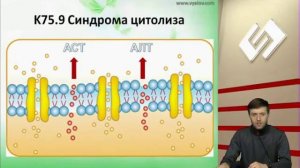 Синдром цитолиза