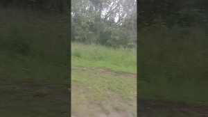 Пермь/Городской маршрут 28/Автобус не знаю 🙃/Торговый центр Планета-Театр Ироническая Компания/