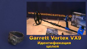 Металлоискатель Garrett Vortex VX9- Идентификация целей