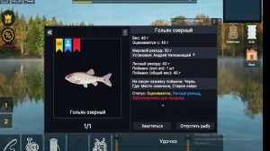 Собираем снасти и ловим рыбу