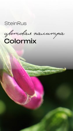 Colormix Умбра