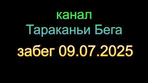 Забег 09.07.2025