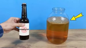 Как вырастить чайный Гриб из магазинной Комбучи!