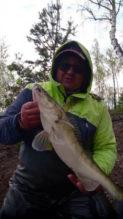 В САМУЮ ТОПКУ! #shorts #рыбалка #fishing #рыба #fish #эдвардкосичка #природа #nature #отдых #rest