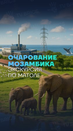 📍 ПУТЕШЕСТВИЕ В МАТОЛУ