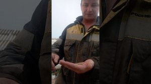 готовим плов по фергански дома