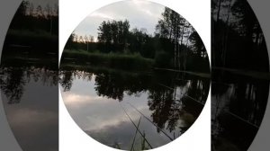 гости на рыбалке.mp4