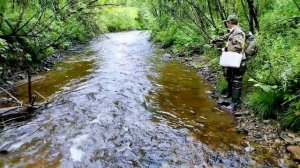 2025 Июль. Поездка На Рыбалку На Горную Речку