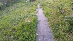 обзор сада и огорода, новый забор