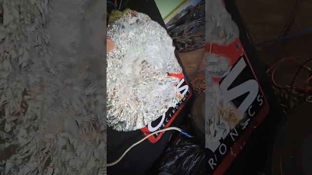 Сабвуфер