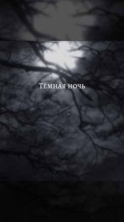 Тёмная ночь.