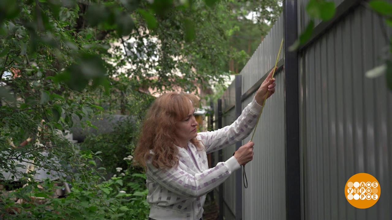 Забор раздора: а может, договоримся по-соседски? Доброе утро. Фрагмент выпуска от 09.07.2025