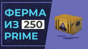 СКОЛЬКО ЗАРАБОТАЛ С 250 ПРАЙМАХ | ФЕРМА В CS2 2025 ГОДУ #3