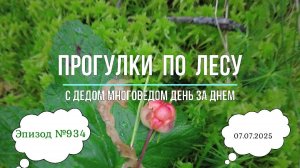 Прогулки по лесу. День за днем с дедом Многоведом. 7 июля 2025г. Эпизод 934.
