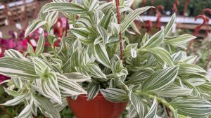 ЛЕМАНА ПРО | НОВИНКИ | СТОЛЬКО ВСЕГО ИНТЕРЕСНОГО