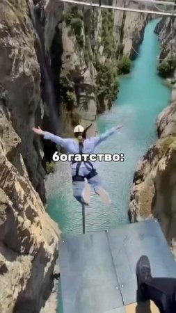 Богатство жизни