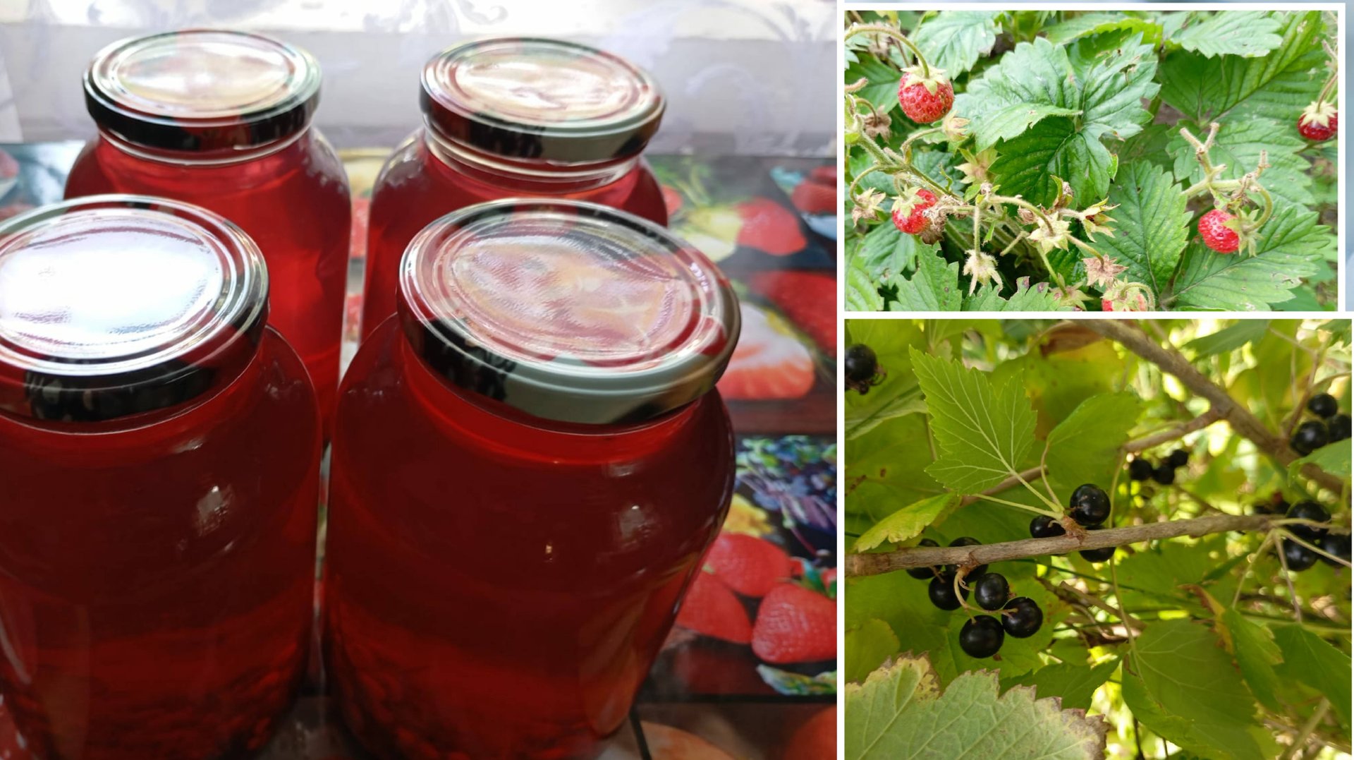 9 июля. Мои огородные дела . Закрываю компот смотреть онлайн