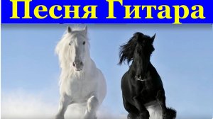 Песня Гитара Шансон ритмичные песни