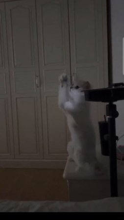 Наелся света и доволен🤣