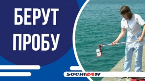 Безопасность сочинских пляжей подтверждена тысячами лабораторных исследований!