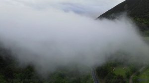 Лес, который ЗАПОМИНАЕТ каждого! - Smallest Things In The Forest-[AudioTrimmer.com] -- Blue Sky Moon
