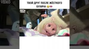 с БООЛЬшого БОДУНА....