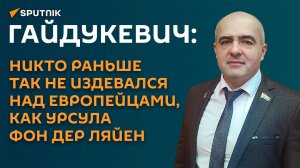 Гайдукевич: европейские институты власти пришли к полной деградации