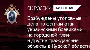 Возбуждены уголовные дела по фактам атак ВСУ на гражданские объекты в Курской области