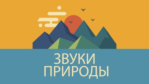 Звуки Природы - Прямой Эфир