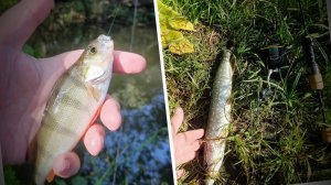 Мормышинг, по кустам и оврагам